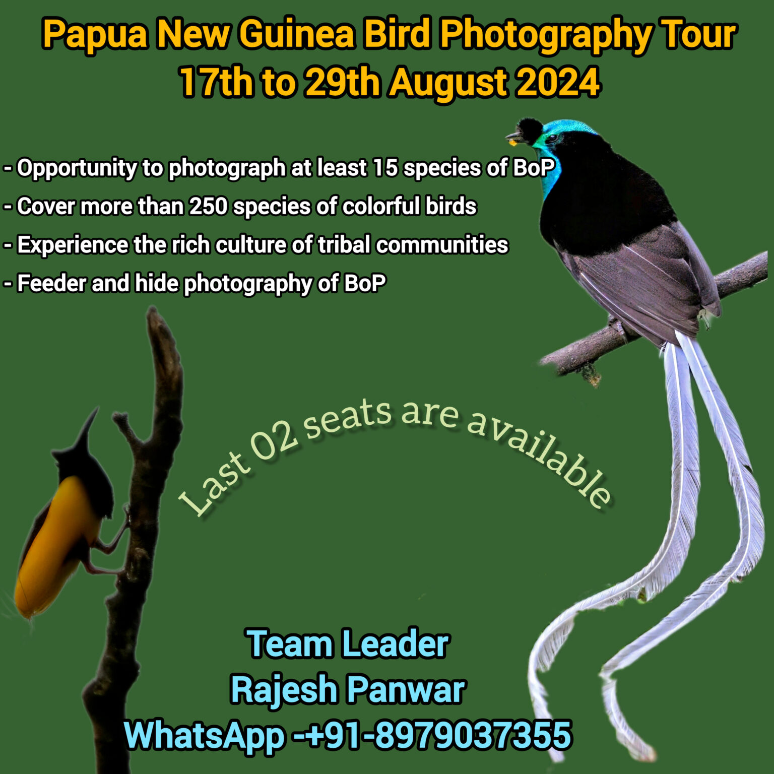 Papua New Guinea Bird Photography Tour - Avian Trails | Corbett